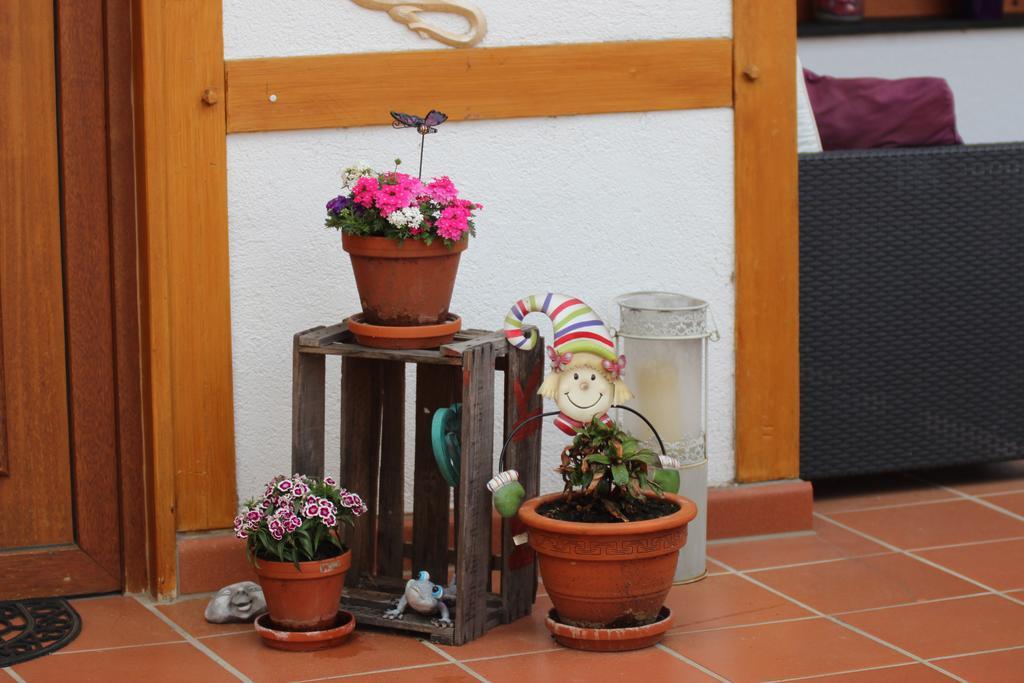 Villa Haus Winkelchen Cochem Esterno foto